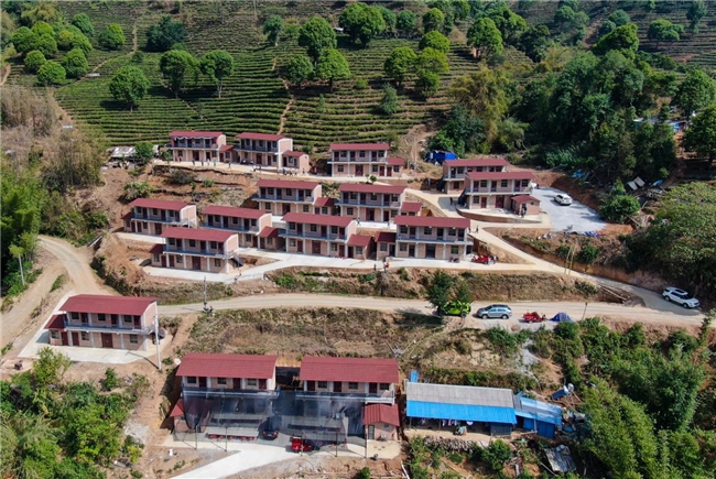 85年匠心守初心!大益勐海茶厂借厂庆奏响乡村振兴 “茶旅交响曲”