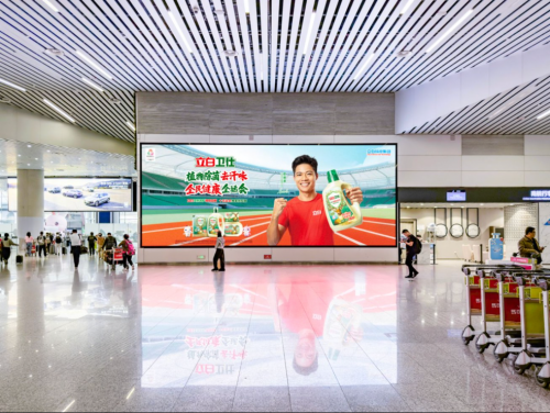 代言人苏炳添点燃全运主火炬,立白护航全民健康盛会