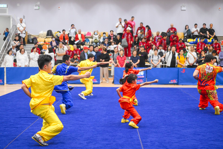“中武传承”香港国际武术大赛 “体育+文化”融合发展,武术赛事新名片