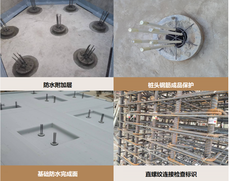 擎起光明,招商蛇口智慧城A5栋交付开业